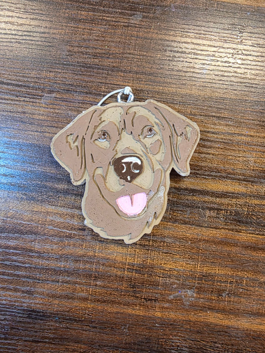 Labrador Retriever